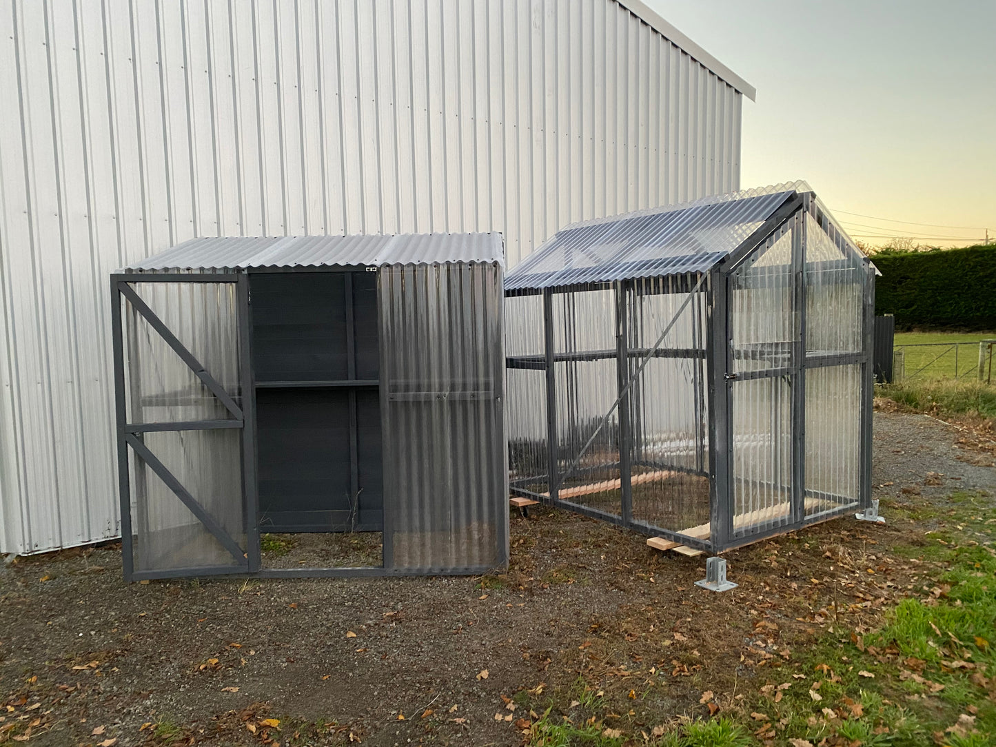 2.4 x 1.8 Timber Polycarbonate Greenhouse