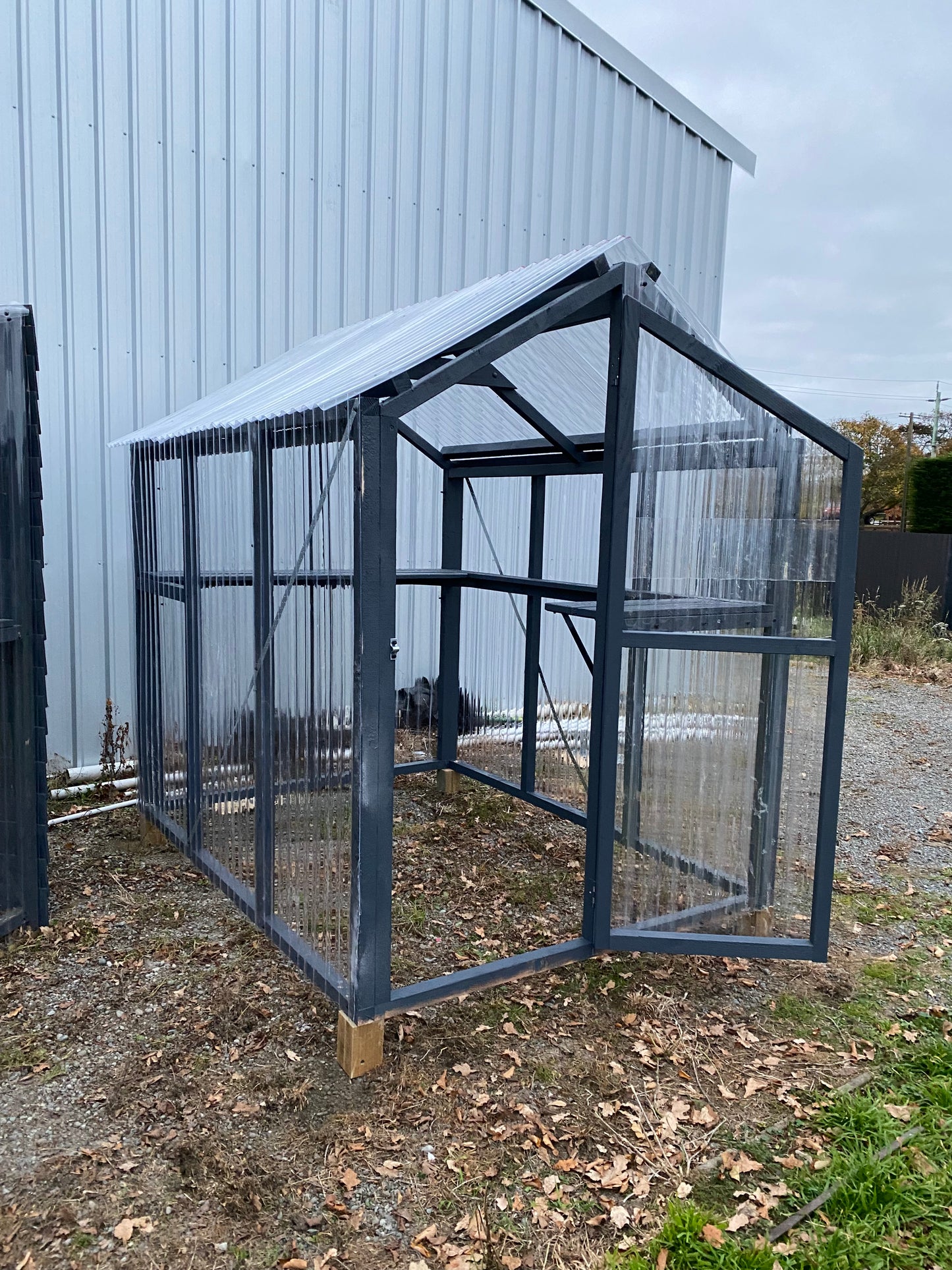 2.4 x 1.8 Timber Polycarbonate Greenhouse