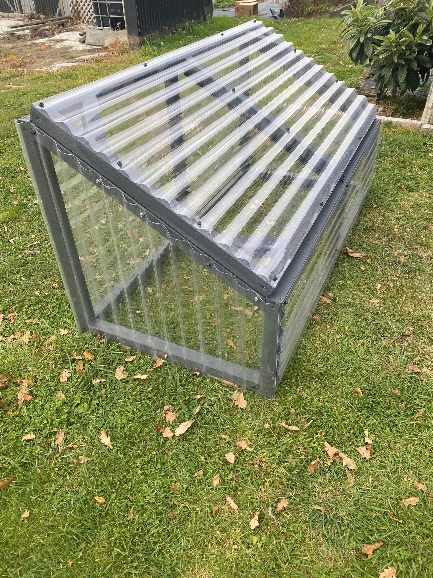 Timber polycarbonate greenhouse seed raising